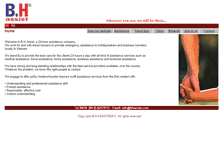 Tablet Screenshot of bhassist.com.vn